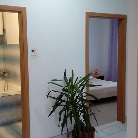 Spacious Family Apartment With Parking In The Shade And Barbecue House Шибеник Екстер'єр фото